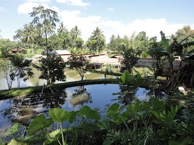 Photos of RM. Pondok Telaga Mas