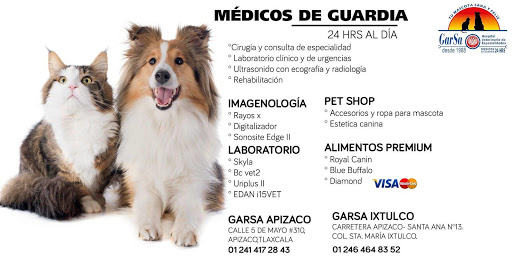 HOSPITAL VETERINARIO DE ESPECIALIDADES GARSA IXTULCO