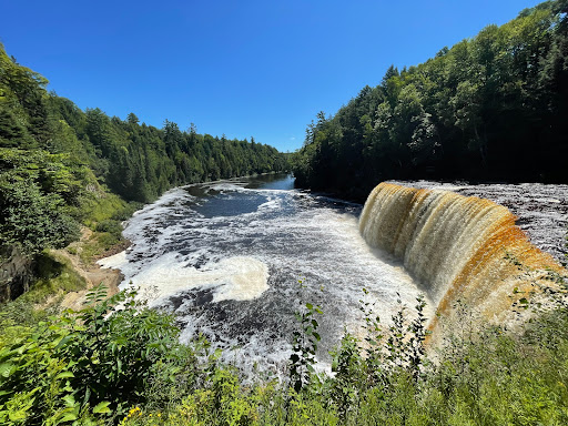Tahquamenon State Park - Lower Falls Hemlock - Thumbnail