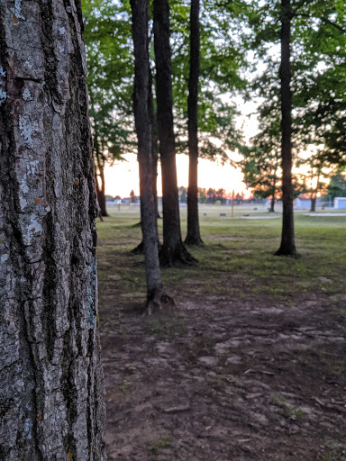 Palmer Park Mancelona Mi - Thumbnail