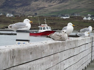 Photos of Knightstown harbour