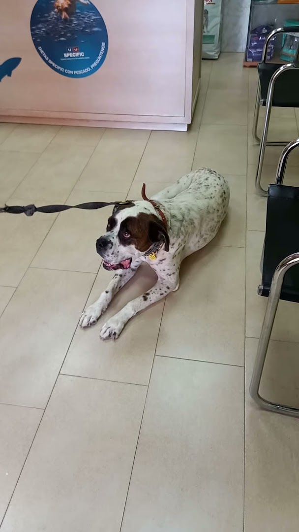 CONSULTA VETERINARIA LAS PERDICES