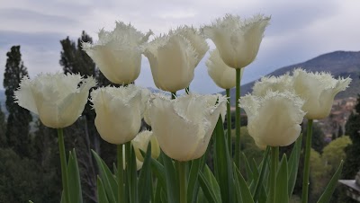 Photos of Villa d'Este