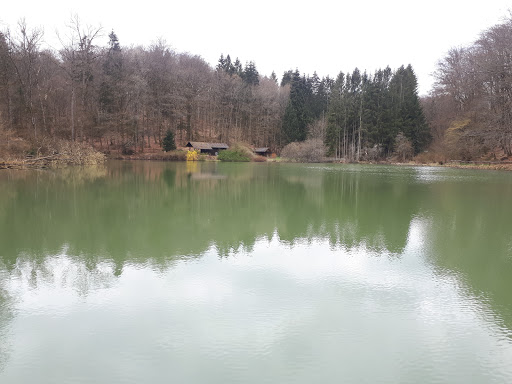 Becherbach Weiher