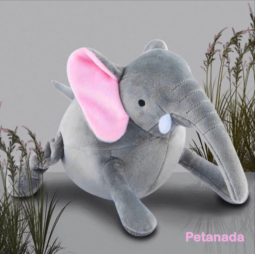 Petanada - Visual