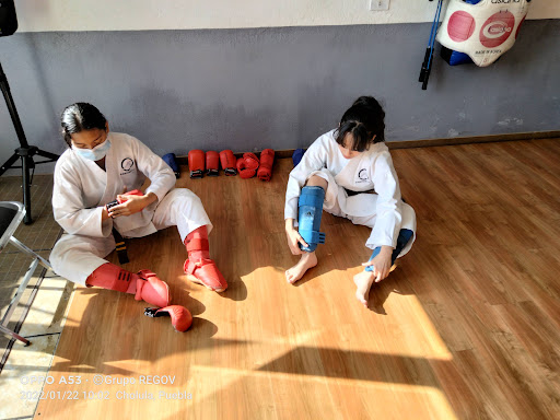Asociación Promotora de Budo, A.C. - Thumbnail