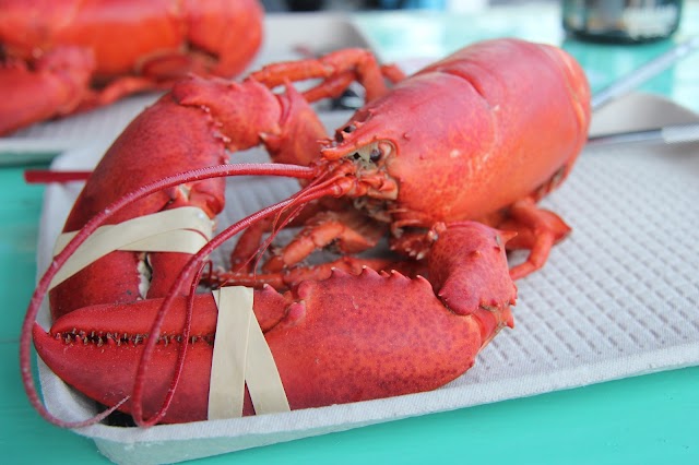 Chauncey Creek Lobster Pier