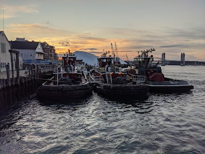 Old Ferry Landing