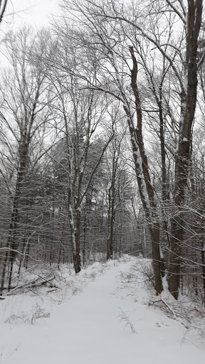 Black Hut State Management Area - Thumbnail