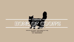 Photo n°10 de The Chatterie Home of Coon's à Amilly (Pension pour chats)