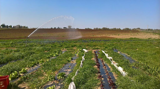 Azienda agricola "Montevarecchia" - Thumbnail