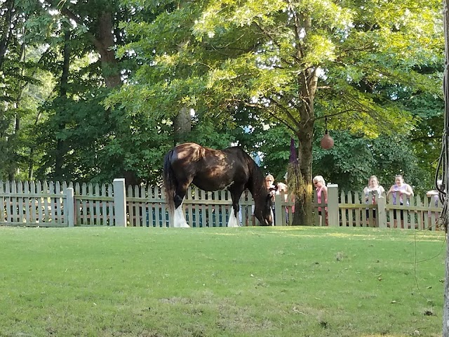 Busch Gardens Williamsburg