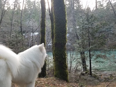 Forest Glen Campground