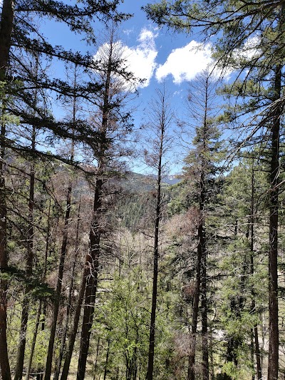 Jacks Creek Trailhead