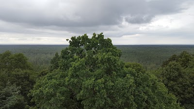 Photos of Slīteres dabas taka