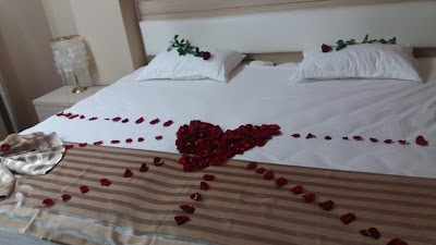 Photos of Hotel New Star