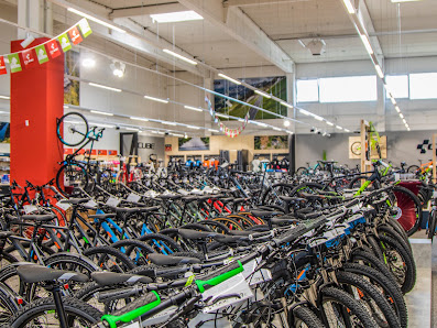 Straßenfahrrad