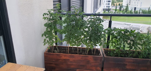 Ekaia Eko Compost - Visual