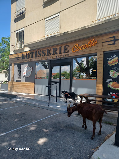 Rotisserie Cocotte - Thumbnail