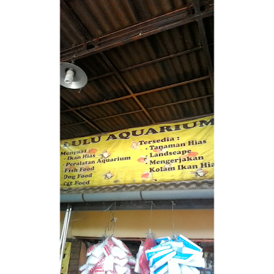 Photos of LULU AQUARIUM