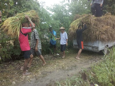 Photos of Farros Chicken Farm