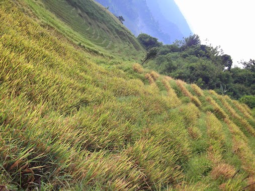 Poddalgoda Village, Author: Sanka Werapitiya