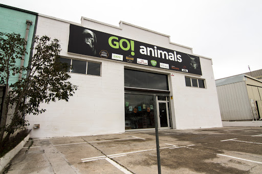 Goanimals - Visual