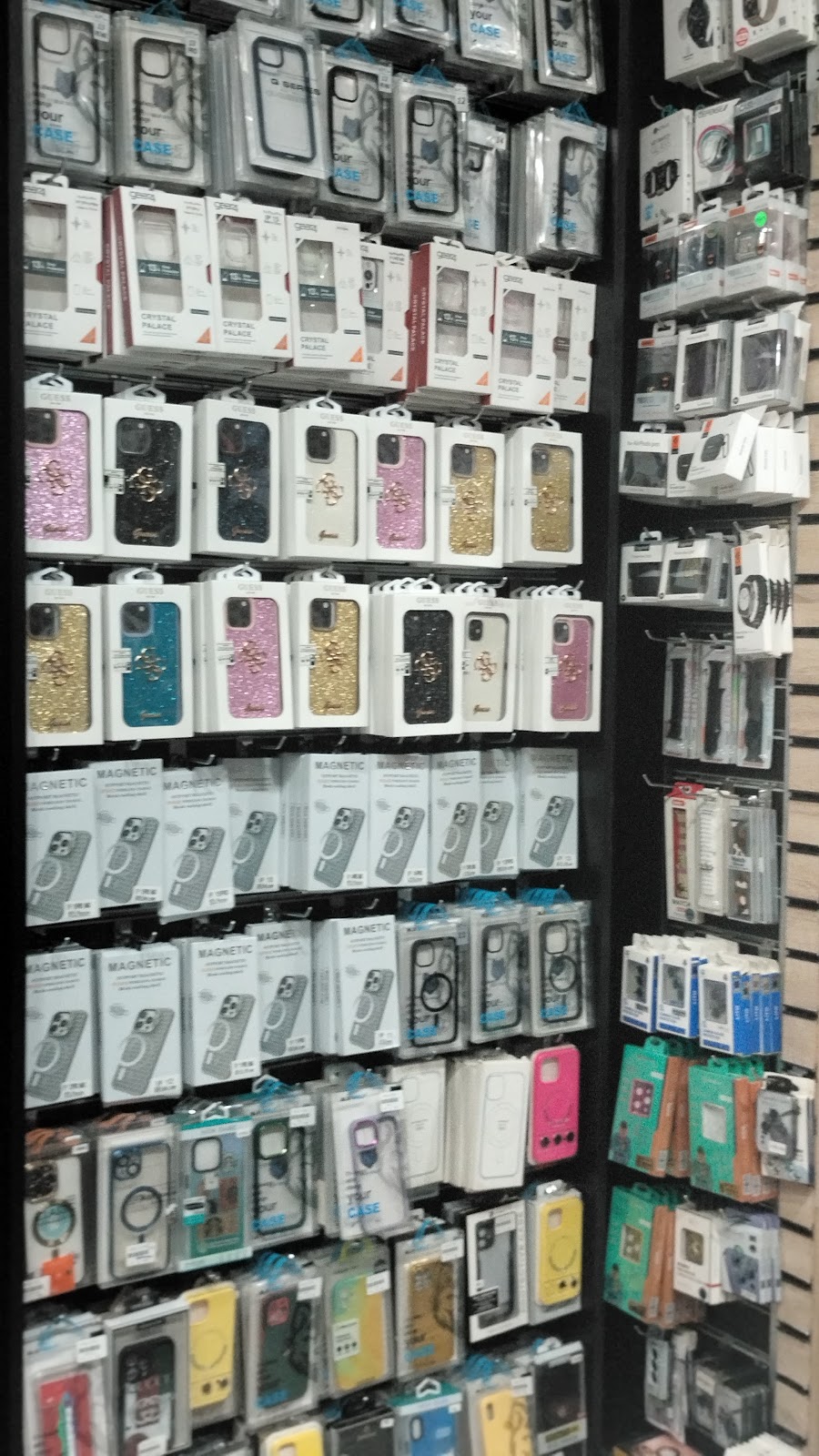 شحته الزعيم - صورة 2