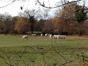Photo n°9 de La Ferme d'Auzannes à Quinssaines (Magasin d'alimentation bio)