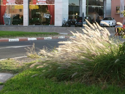 Photos of Motor Show