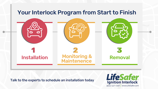 Lifesafer Ignition Interlock - Visual