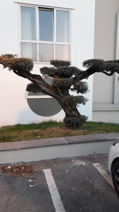 Photos of Hotel Eracle