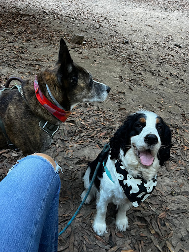 Green belt Trails - Thumbnail