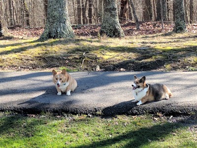 Fall Creek Falls Golf Course (TN Golf Trail)