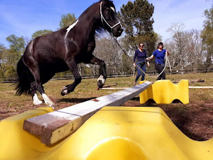 Photo n°18 de L'Equit de Lulu à Sarbazan (Service de tours de poneys)