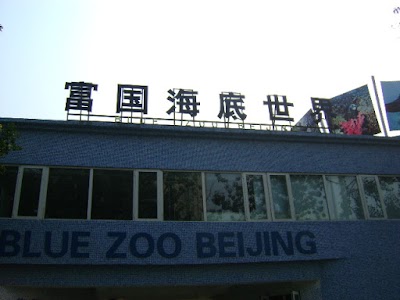 Photos of Blue Zoo Beijing
