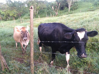 Photos of Parque Juan Pablo II