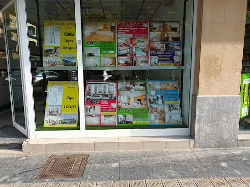 Lizardi - Visual