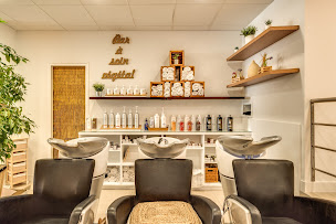 Photo n°14 de Coiffure Gérard Valentino à Cavaillon (Salon de coiffure)