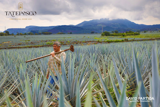 Tequilera Tateposco SA de CV Gallery - Mexico