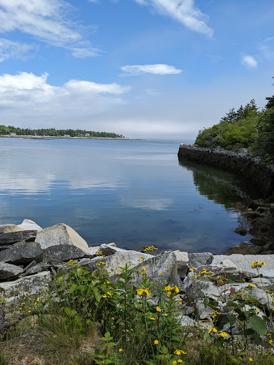 Clark Island Preserve
