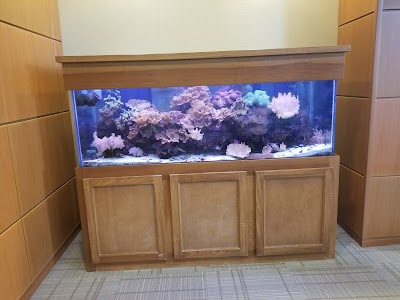 Aquarium Management Systems