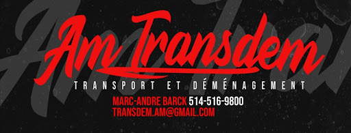AM Transdem - Visual