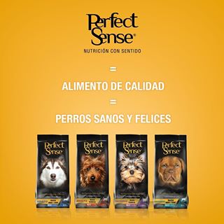 Perfect Sense Zacatecas - Thumbnail