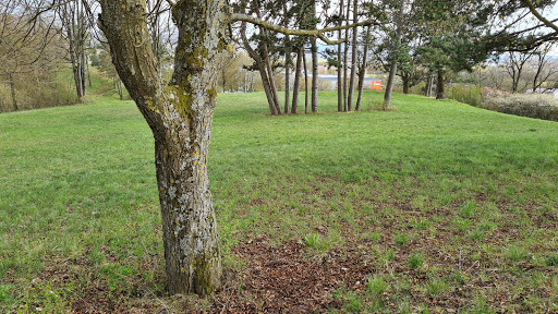 Park am Schillerberg - Thumbnail