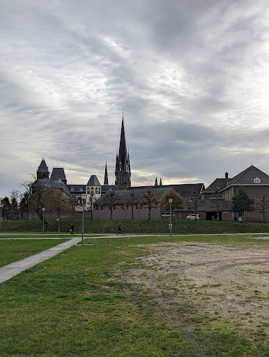 Sittard, Lupinestraat