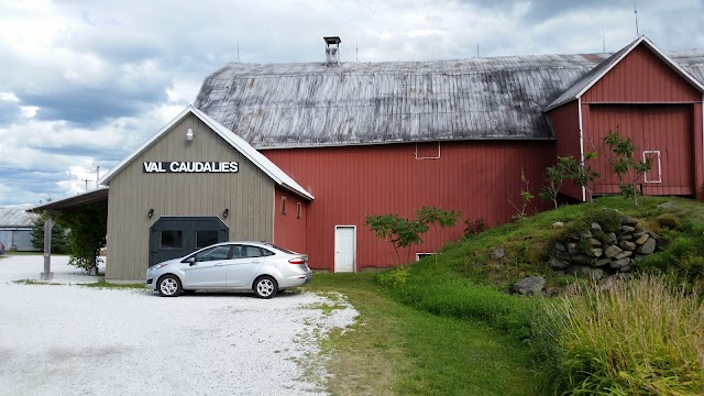 Vignoble Val Caudalies