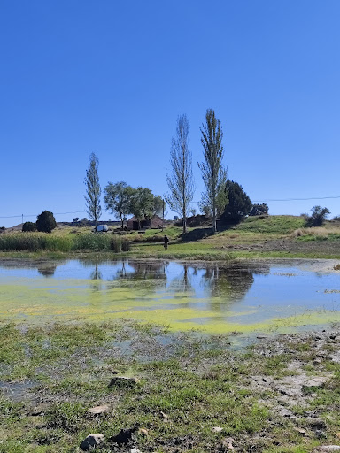 Laguna de Tamajón - Thumbnail