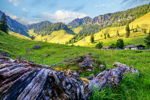 Thoraualm - Thumbnail