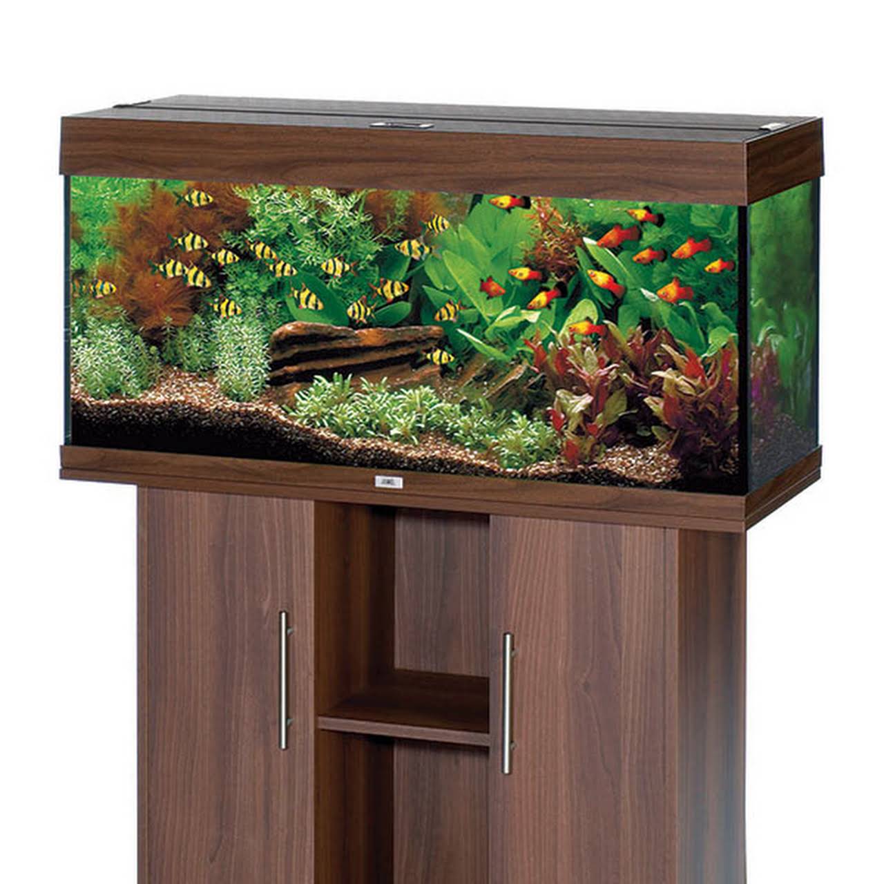 from fry fish farm From fry fish farm 42 green lane woodlands DN67RE